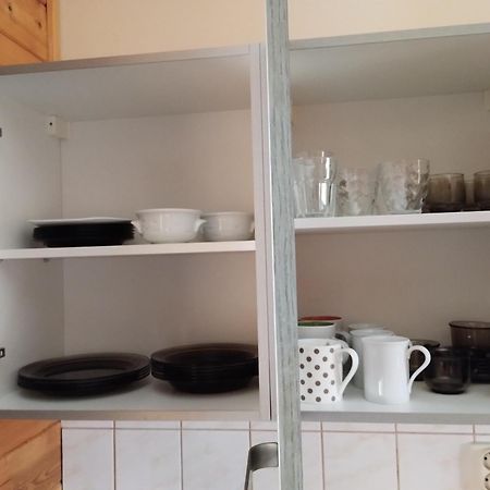 Apartmán v dřevěném domě Františkovy Lázně Exterior foto